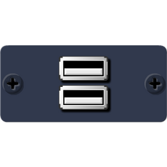 WU-2AA(G) USB Wall Plate Insert, Grey, Double Slot, Colour: Grey