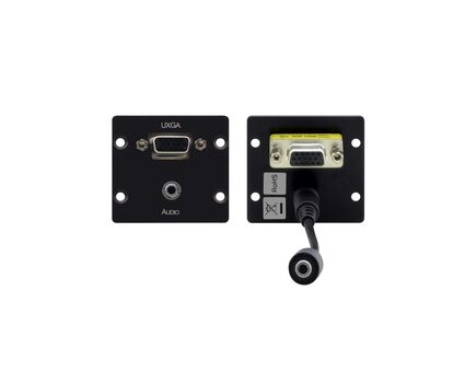 WXA-2P(W) Computer Graphics Video & Stereo Audio Wall Plate Insert, Black, Double Slot, Colour: White