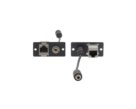 WA-45(B) 3.5mm & RJ-45 Pass-Through Wall Plate Insert, Black, Single Slot, Colour: Black, 2 image