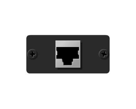 W-45 RJ-45 Ethernet Wall Plate Insert, Black, Single Slot