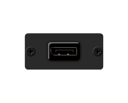 W-DP(B) DisplayPort Wall Plate Insert, Black, Single Slot, Colour: Black