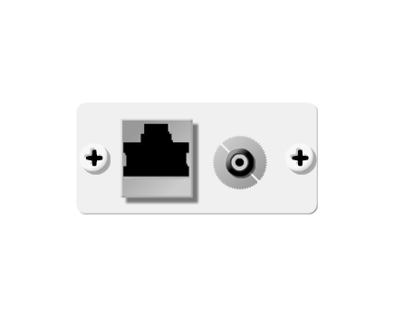 WA-45(W) 3.5mm & RJ-45 Pass-Through Wall Plate Insert, White, Single Slot, Colour: White