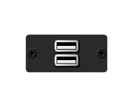 WU-2AA(B) USB Wall Plate Insert, Black, Double Slot, Colour: Black