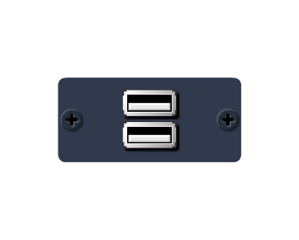 WU-2AA(G) USB Wall Plate Insert, Grey, Double Slot, Colour: Grey