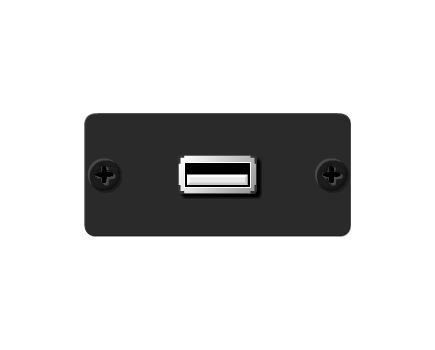 WU-AA(B) USB Wall Plate Insert, Black, Single Slot, Supports USB 1.0/USB 2.0, Colour: Black