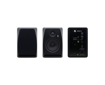 DOLEV 5 5−Inch, Two−Way Bi−Amplified Studio Grade Speaker, Black, Colour: Black