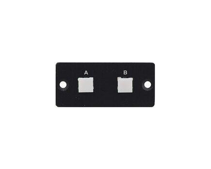 RC-20TB(B) Module-Insert with 2 Buttons and Dry Contact Switch